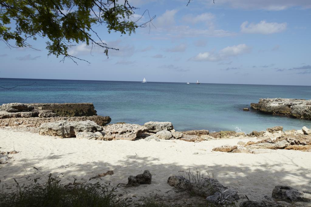 Villa Bougainvillea Aruba, The Tango Suite Palm Beach Luaran gambar