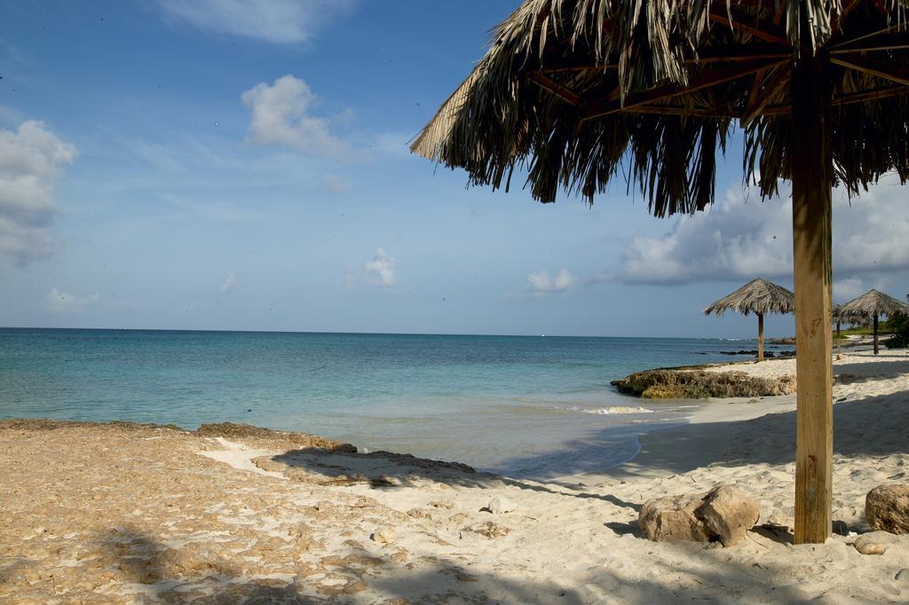 Villa Bougainvillea Aruba, The Tango Suite Palm Beach Luaran gambar