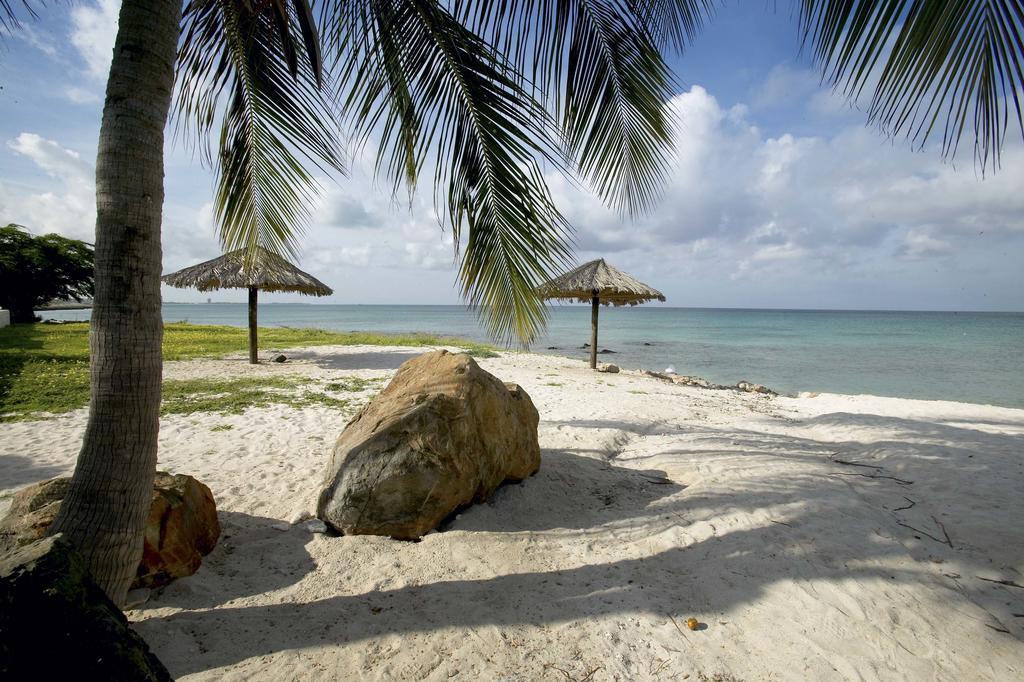 Villa Bougainvillea Aruba, The Tango Suite Palm Beach Luaran gambar